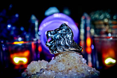 ILLUMINATI GOLDEN DAWN Occult Master Ring Secret Society SATURNALIA