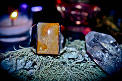 BUSINESS SUCCESS Wealth Legacy Secret Society Illuminati Codes of Power Ring