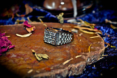 MAGICK MONEY MAGNET Spell Ring of Ultimate Wealth & Riches ~ Haunted Metaphysical Pagan Wiccan Gypsy Witch Ring! Wealth $$$