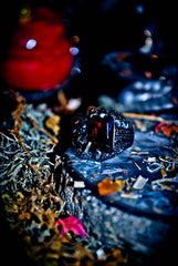 SKULL & BONES ILLUMINATI Arcane Dragon Djinn Ring Haunted Elite Power Money Genie Secret Society Ring! Ultimate Wealth, Cash, Power & WISHES!