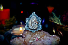 ZODIAC DJINN Ultimate Astrology & Psychic Vision Ring! Inner Earth Cosmic Universal Blessings! Attract Wealth, Success, Fame, Luck, Gain Wisdom & Power!
