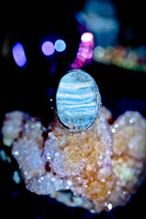 ** DRAGON SANCTUARY ** DJINN of VAST RICHES Money Magnet Ring! POWER & Abundance! Elite Occult Knowledge & WEALTH $$ * RARE! Top-Level GENIE $$