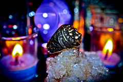 LION'S GATE Cosmic Portal Alchemy Manifestation Spell Ring for Strength, Wealth, Courage, Power & Success!
