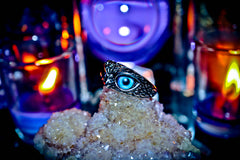 BOHEMIAN OWL Totem Djinn Ancient Illuminati Occult Secret Society Ring of Hidden Truths & Wealth ~ Speak To Animals, Communicate w/ Dead, Discover Past Lives * $