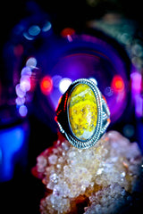 ILLUMINATI GOLDEN DAWN Anillo Maestro Oculto Sociedad Secreta SATURNALIA Élite Poder Fortuna VASTA Riqueza Fama Respeto Acciones Inversiones Negocios REALEZA BILLONARIO RIQUEZA Genio!