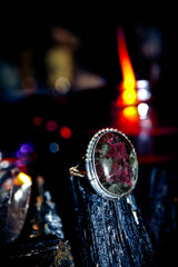 SANGUINE VAMPIRE Haunted Ring! Eternal Wealth and IMMORTALITY! Ancient Occult Talisman of ULTIMATE Wealth! 33 Rituals of POWERFUL Witchcraft Spells! PARANORMAL!